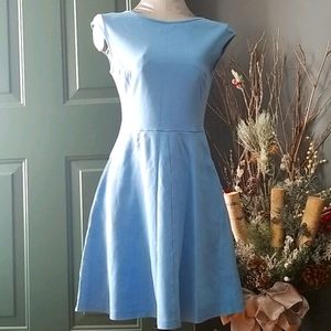 NY & Co skater dress